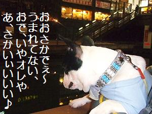 画像 446.jpg