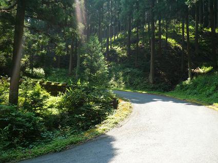 コピー ～ P1040635.JPG