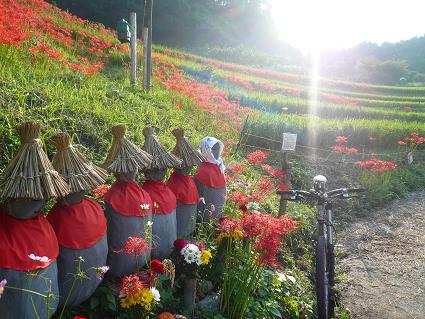 コピー ～ P1050121.JPG