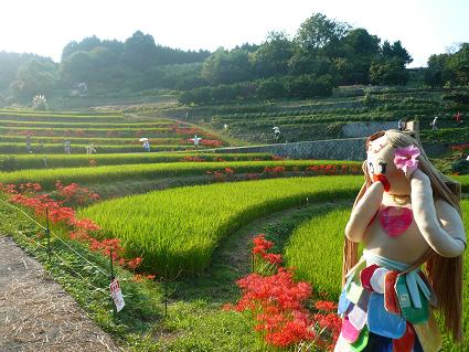 コピー ～ P1050123.JPG