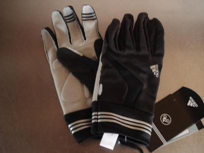 コピー ～ DSC06612.JPG