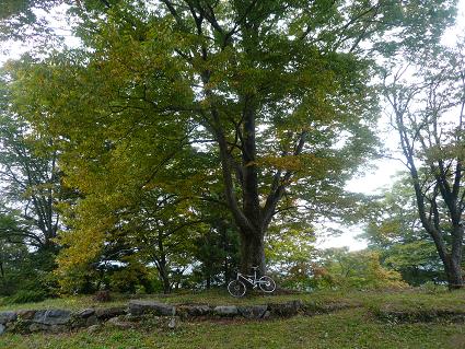 コピー ～ P1050808.JPG