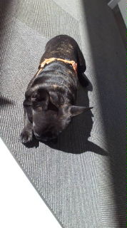 うっでぃ（２）