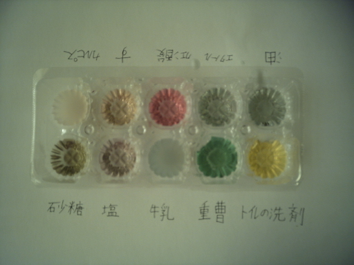 5535_5555自由研究0004.JPG