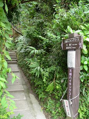 鎌倉天園ハイキングコース入口