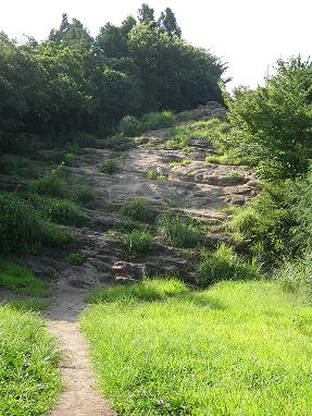 鎌倉天園ハイキングコース