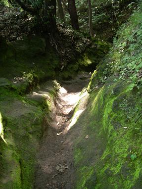 鎌倉天園ハイキングコース