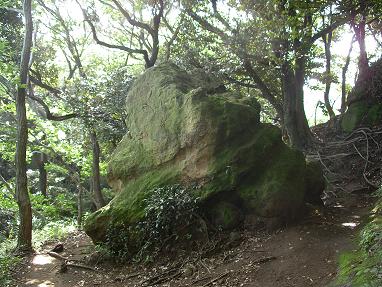 鎌倉天園ハイキングコース