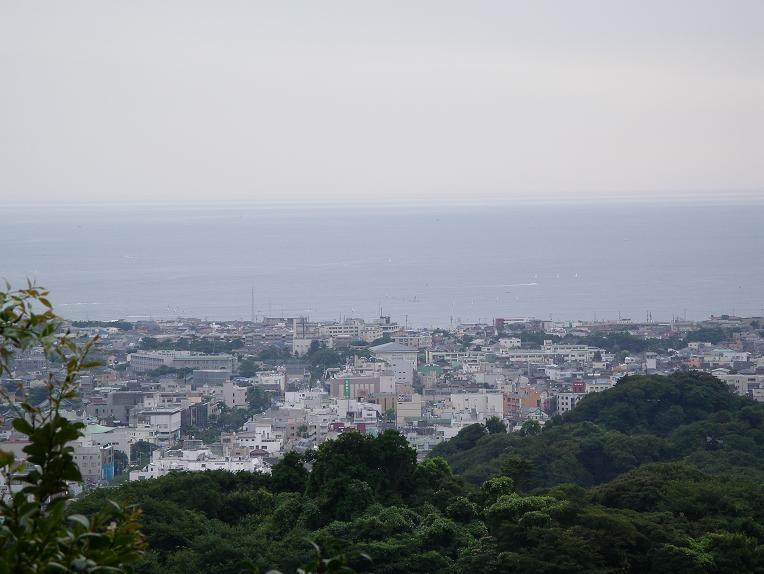 鎌倉天園ハイキングコース勝上献展望台からの眺め