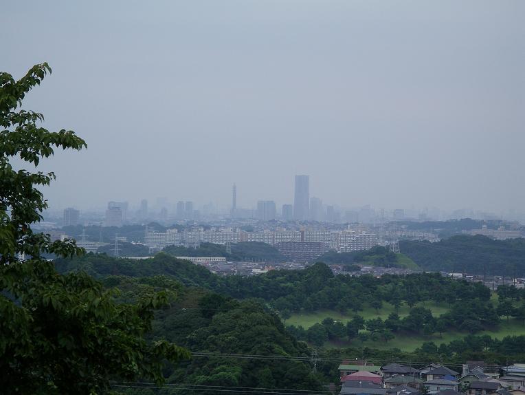鎌倉天園ハイキングコースの途中から見える横浜ランドマークタワー