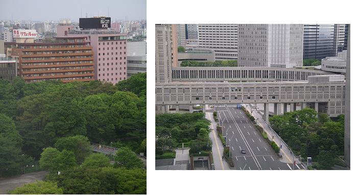 新宿ワシントンホテル ビジネスシングル 都庁側