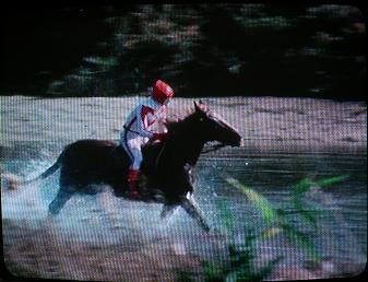 バトルジャパン