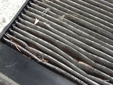 R0013459.JPG