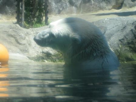 IMG_2180.JPG