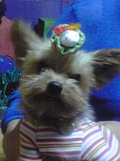 PA0_0035.JPG