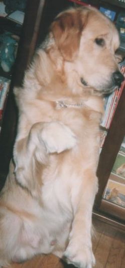 riki jpg.jpg