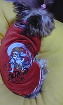 080301_1105~02.jpg
