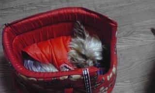 080307_1618~01.jpg