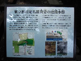 国分寺公園2.jpg