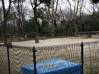 航空公園5.jpg