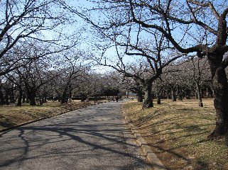 代々木公園.jpg