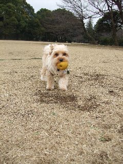 航空公園5.jpg