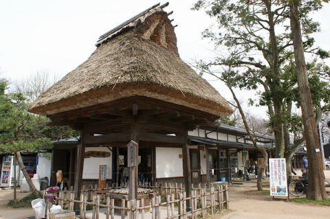 高岡