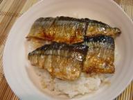 DSC05485.JPG