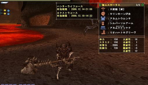 mhf_20081201_194339_203.jpg