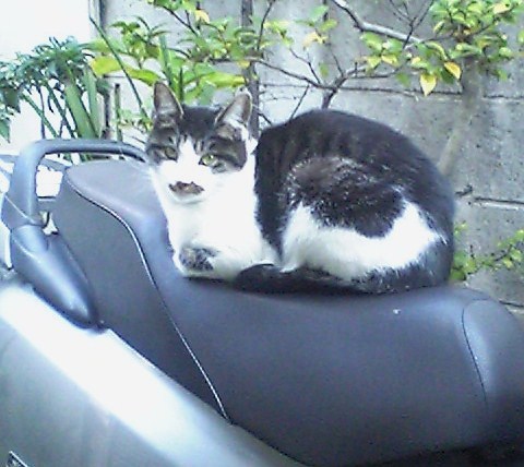 Image224.jpg