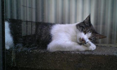 Image2791.jpg