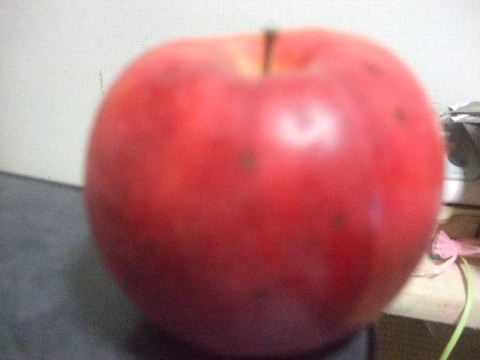 2008_1115リンゴ0001.JPG