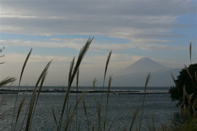 伊豆半島からの富士