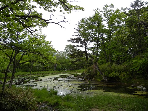 20110619泉門池