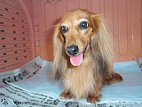 conv0650.JPG