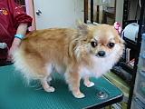 conv0441.JPG