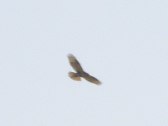 conv0401.JPG