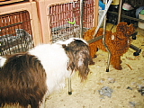 conv0483.JPG