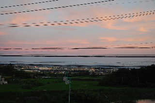 DSC_0203.jpg