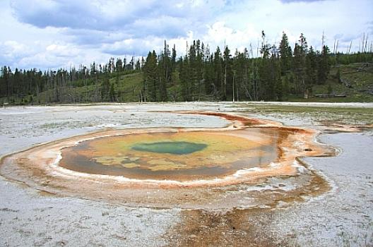 イエローストーン 89