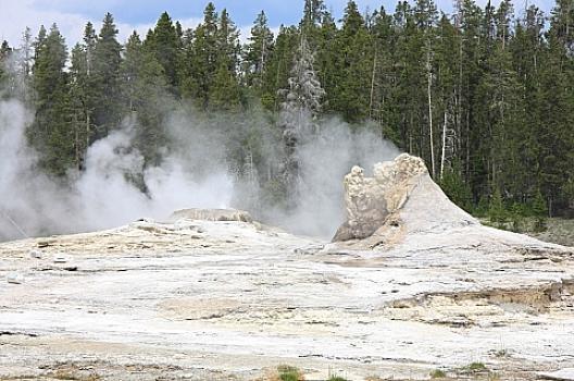 イエローストーン 90