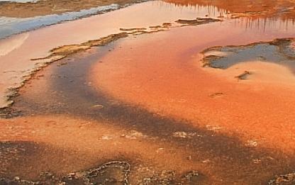 イエローストーン 38