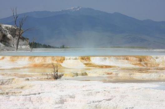 イエローストーン 167