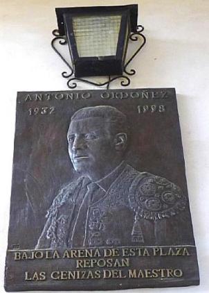 2010年夏クイズ56