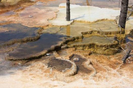 イエローストーン 169