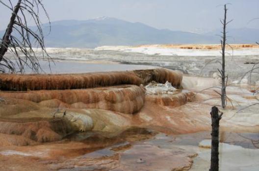 イエローストーン 170