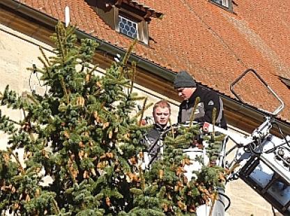 ディンケルスビュール 10