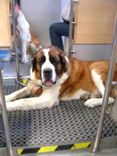 ここはどこシリーズ2011 30