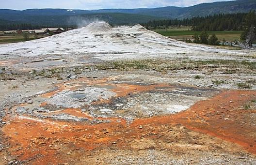 イエローストーン 80