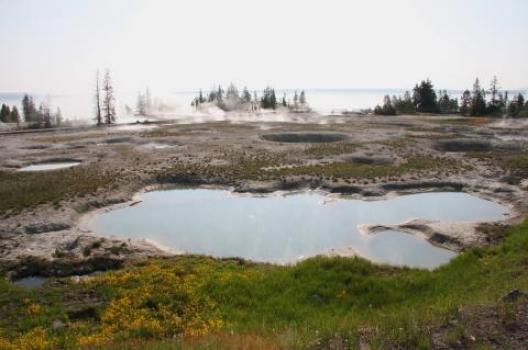 イエローストーン 200